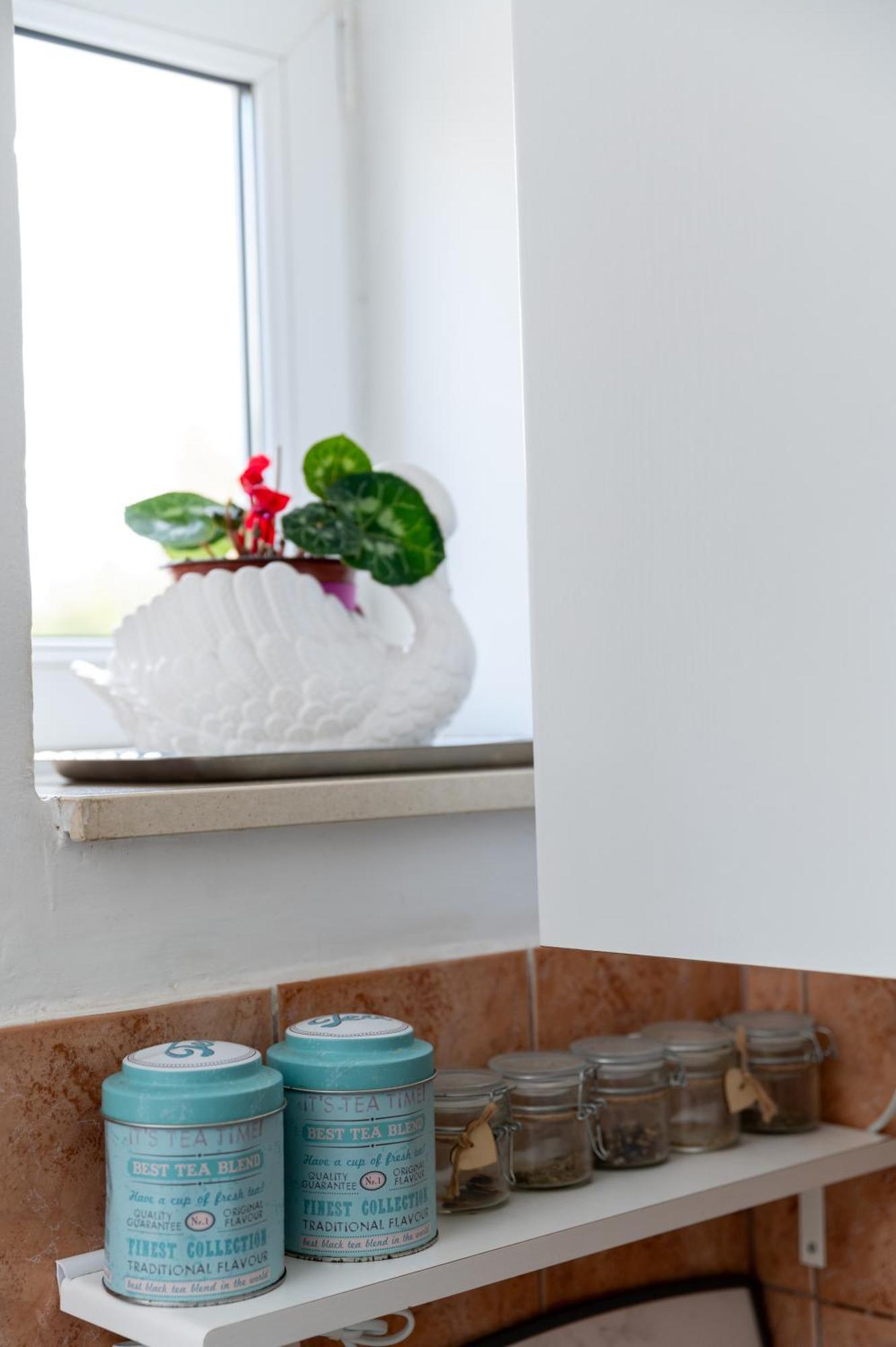 Apartman Milijana Fažana Zewnętrze zdjęcie