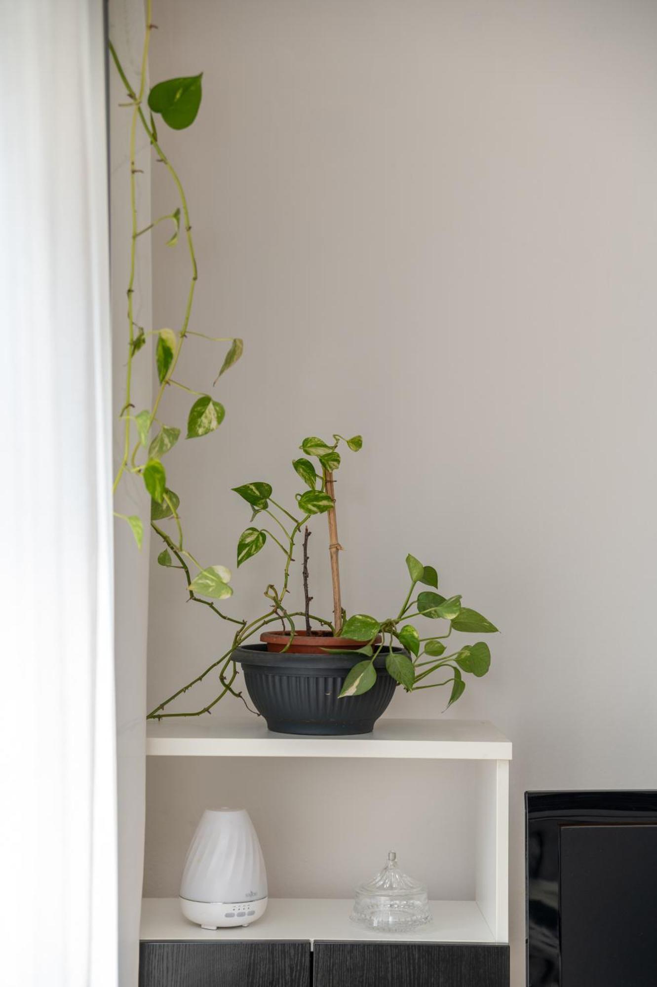 Apartman Milijana Fažana Zewnętrze zdjęcie